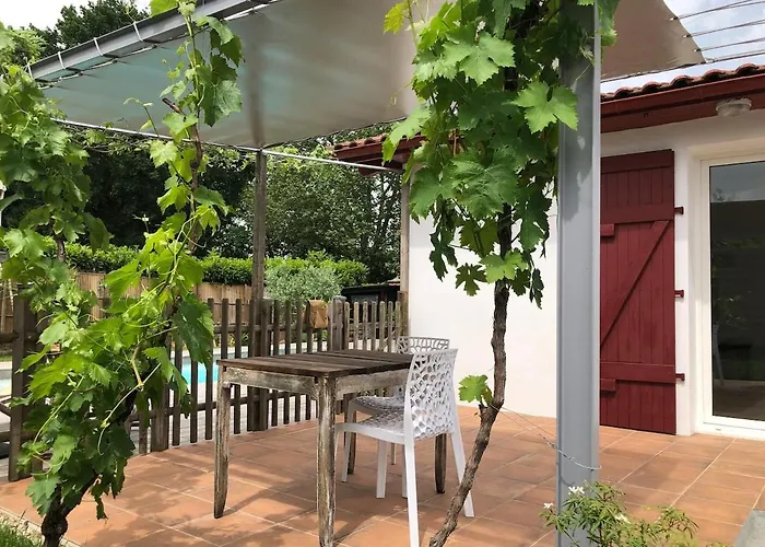 Appartement T2, Très Bien équipé, Avec Terrasse, Jardin, Et Accès Piscine Cambo-les-Bains